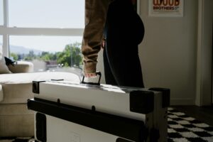Woman holding a durable pet crate in a sunlit modern living room, showcasing home lifestyle and pet parenting.